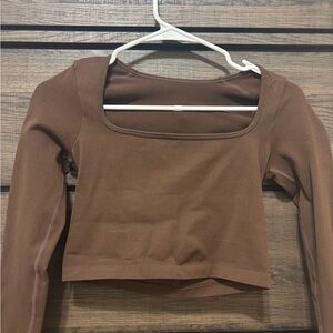 Amazon Brown Crop Top for Women